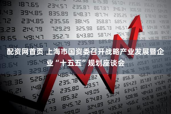 配资网首页 上海市国资委召开战略产业发展暨企业“十五五”规划座谈会
