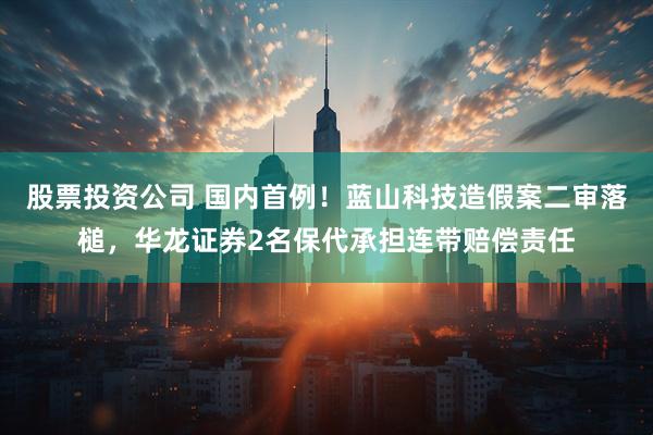 股票投资公司 国内首例！蓝山科技造假案二审落槌，华龙证券2名保代承担连带赔偿责任