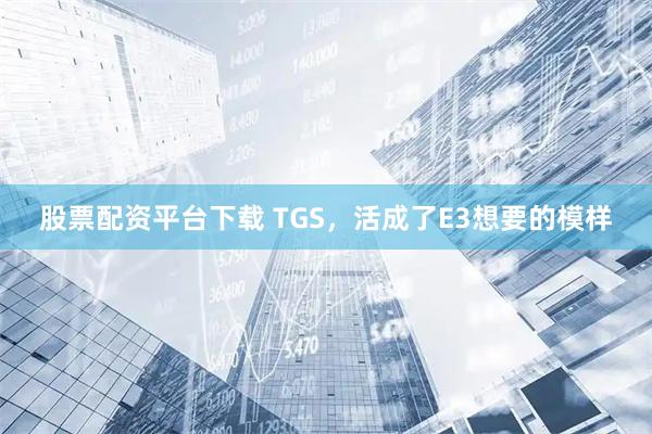 股票配资平台下载 TGS，活成了E3想要的模样