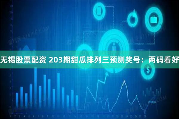 无锡股票配资 203期甜瓜排列三预测奖号：两码看好